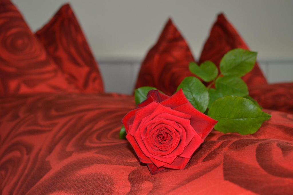 Hotel Zum Kreuz Aarau Room photo